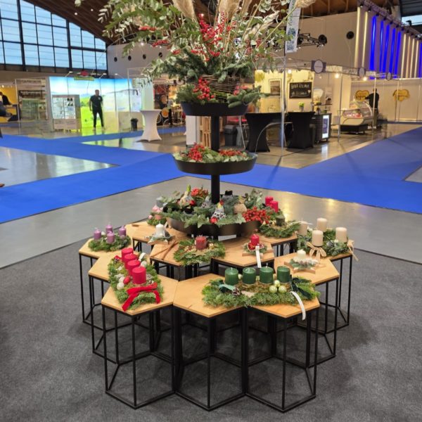 Hexi-Kombinationen - Auf Anfrage